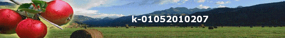 k-01052010207