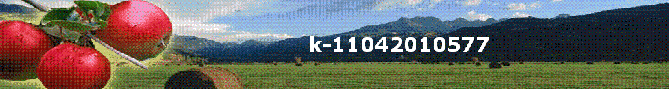 k-11042010577