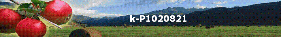 k-P1020821