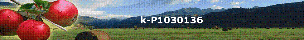 k-P1030136
